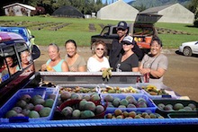 Village Harvest volunteers with fruit
